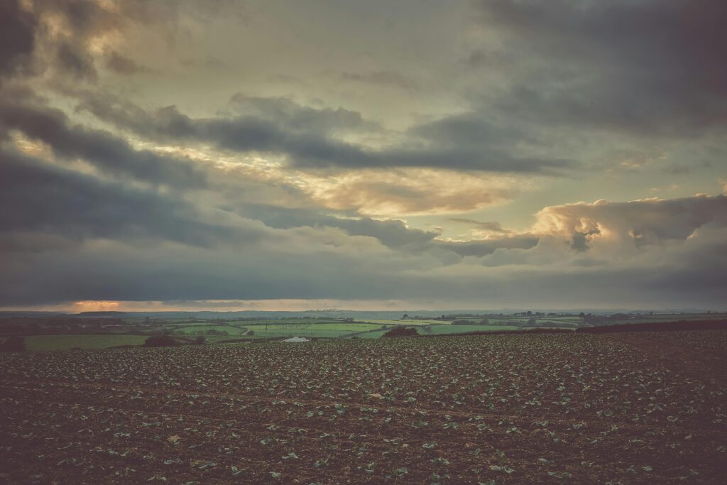 Expansive farmland under a dramatic cloudy sky at dusk or dawn.